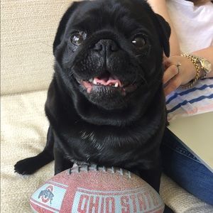 Meet your Posher, Kaley